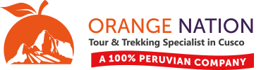 Logo Orange Nation Peru - Partners Orange Cares