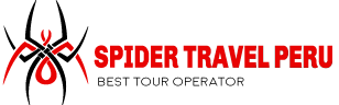 Logo Spider Travel Peru - Partners Orange Cares